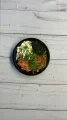 Poke 6 Poke 6