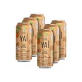 CHA LATA LARANJA C/ GENGIBRE 290ML
