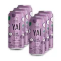 CHA DE JABUTICABA 290ML
