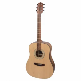 Violo Ao Eltrico Folk Gonalo Alves Fk1 Ns Giannini