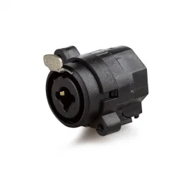 Jack Combo P10 x Xlr Prof Mxt