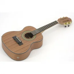 CAVAQUINHO CS25E MGS ELETRICO STRINBERG