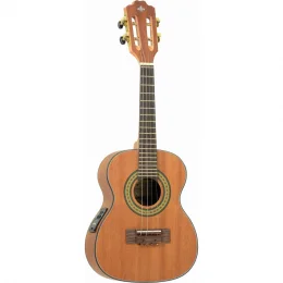CAVAQUINHO CS25E MGS ELETRICO STRINBERG