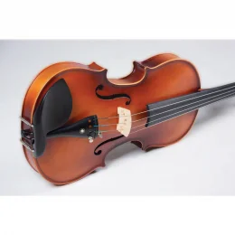 VIOLINO BE44S BEETHOVEN 4/4 FOSCO VIVACE