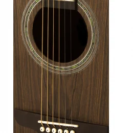 VIOLO AO PRESENA BRASIL FOLK RX315.AT.F.CT.LP ROZINI