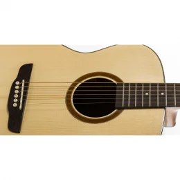 VIOLO AO PREMIUM AUDITORIO ATIVO COM BAG RX220.AT.N.LP ROZINI