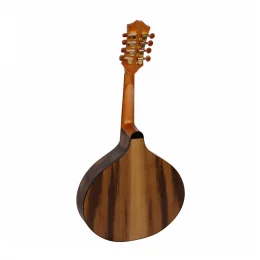 BANDOLIM GONALO ALVES ELETRICO ACUSTICO BS1 NS GIANNINI