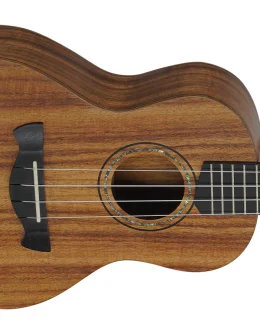 UKULELE CONCERT ALL KOA HANA NTS TAGIMA