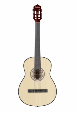 VIOLAO ACUST NAYLON FL-39N NT WALDMAN