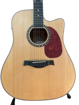 VIOLAO ACO ELETRICO C EFEITOS C BAG LAURA FX NTS EWA