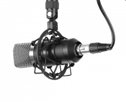 Microfone Condensador R1 Rad