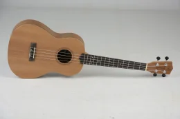Ukulele Uk06b Mgs Fosco Baritono Strinberg