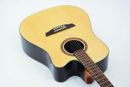 Violao Dublin De50sc N Strinberg