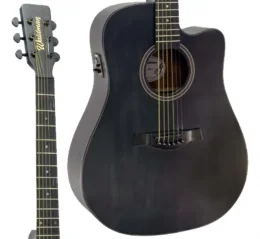 VIOLAO ELET/ACUST DCEX-1041 BK WALDMAN