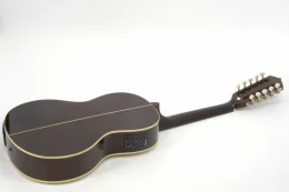 VIOLA ELETRICA VS25E N STRINBERG