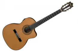 Violao Nylon Ga Ga5tce-am Ibanez