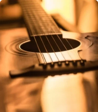 INSTRUMENTOS DE CORDA