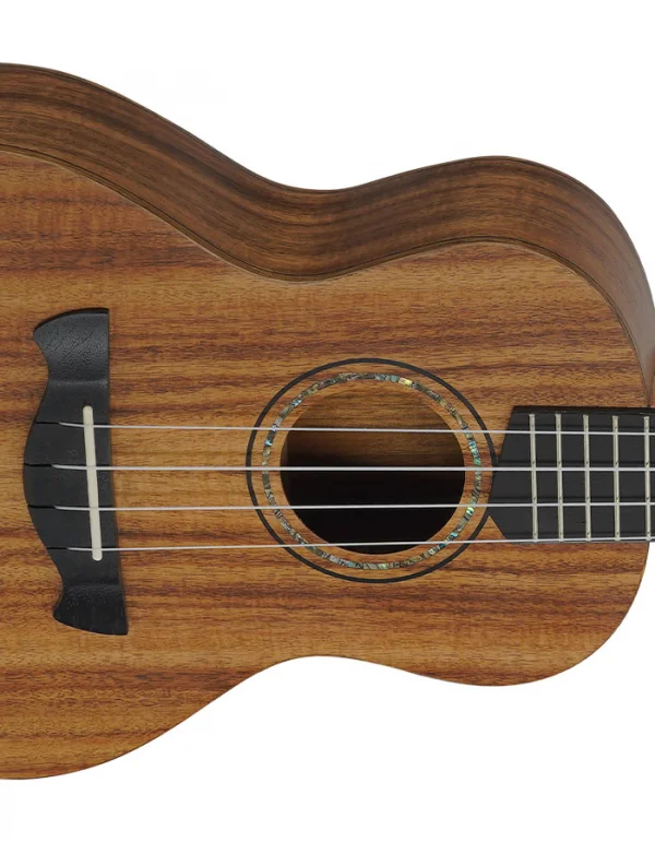 UKULELE CONCERT ALL KOA HANA NTS TAGIMA