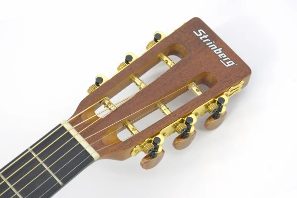 Violao Sy200 Mgs Folk Fosco Strinberg