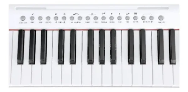 TECLADO WTS-100 WHITE WALDMAN