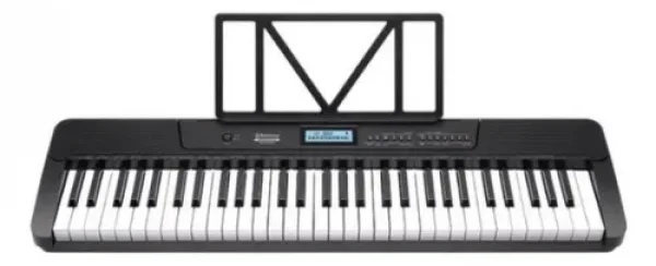 TECLADO WTS-300 BLACK WALDMAN
