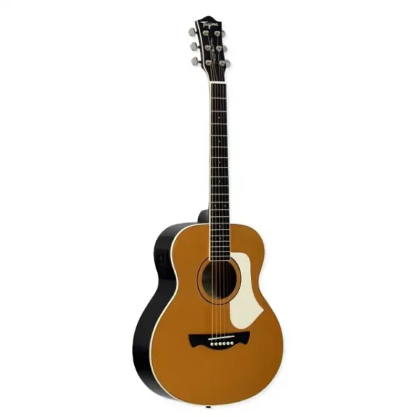 VIOLAO GS MINI AGATHIS LATIN AMER PORTENO MGYS TAGIMA