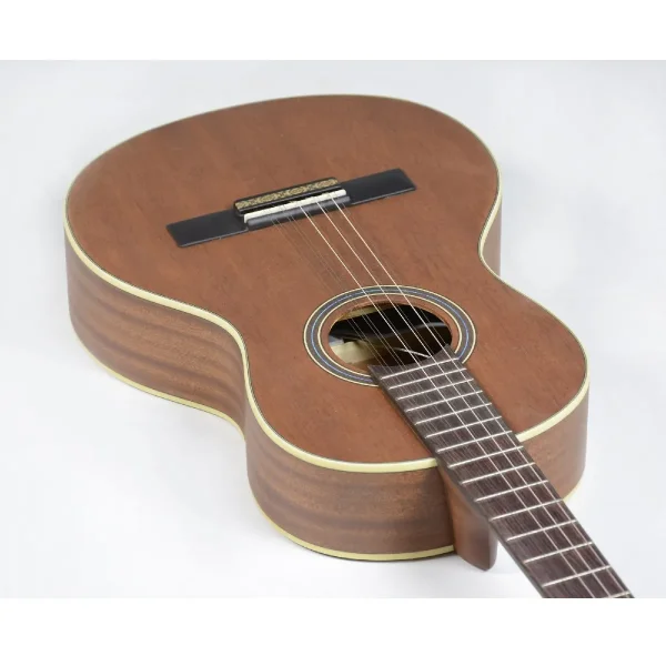 VIOLA ELETRICA VS25E MGS STRINBERG