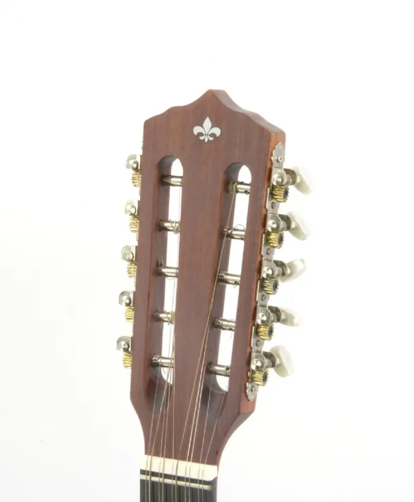 VIOLA ELETRICA VS25E MGS STRINBERG
