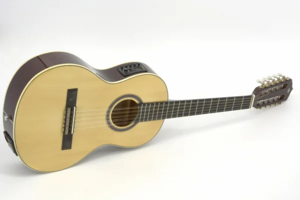 VIOLA ELETRICA VS25E N STRINBERG