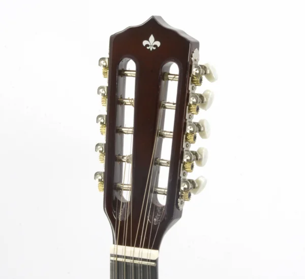 VIOLA ELETRICA VS25E N STRINBERG