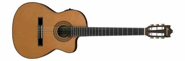 Violao Nylon Ga Ga5tce-am Ibanez