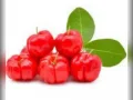 Acerola com �gua 500ml