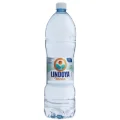 gua natural Lindoya 510 ml