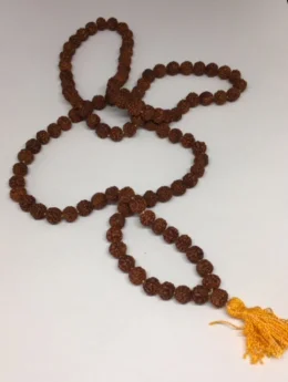 Japamala de Rudraksha - Consagrado