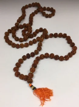 Japamala de Rudraksha - Consagrado
