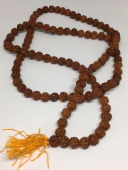 Japamala de Rudraksha - Consagrado