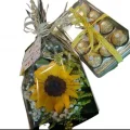 Girassol + Ferrero 12 Girassol + Ferrero 12