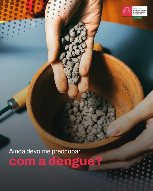 Ainda devo me preocupar com a dengue?