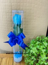 ROSA NO TUBO AZUL