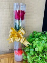 ROSA NO TUBO VERMELHA