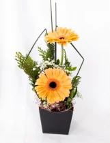 ARRANJO COM 2 GRBERA