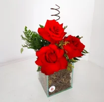 ARRANJO COM 3 ROSAS IMPORTADAS