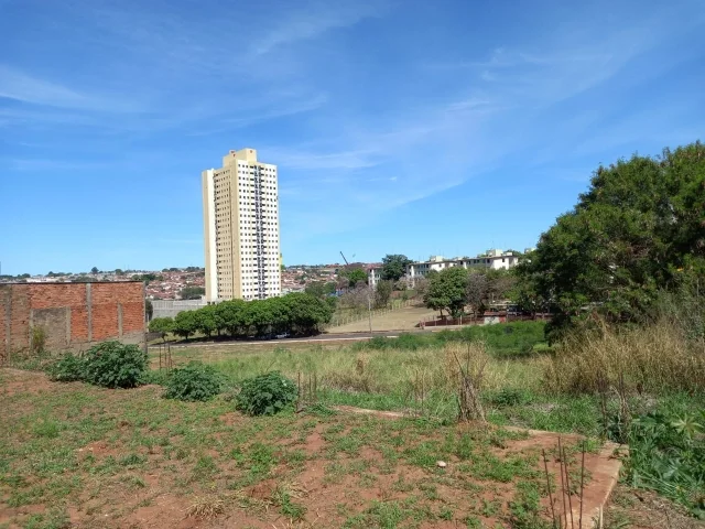 Cd: 169, Foto 2