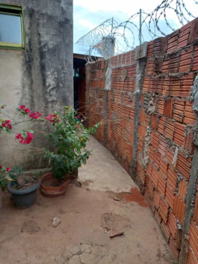 Cd: 182, Foto 5