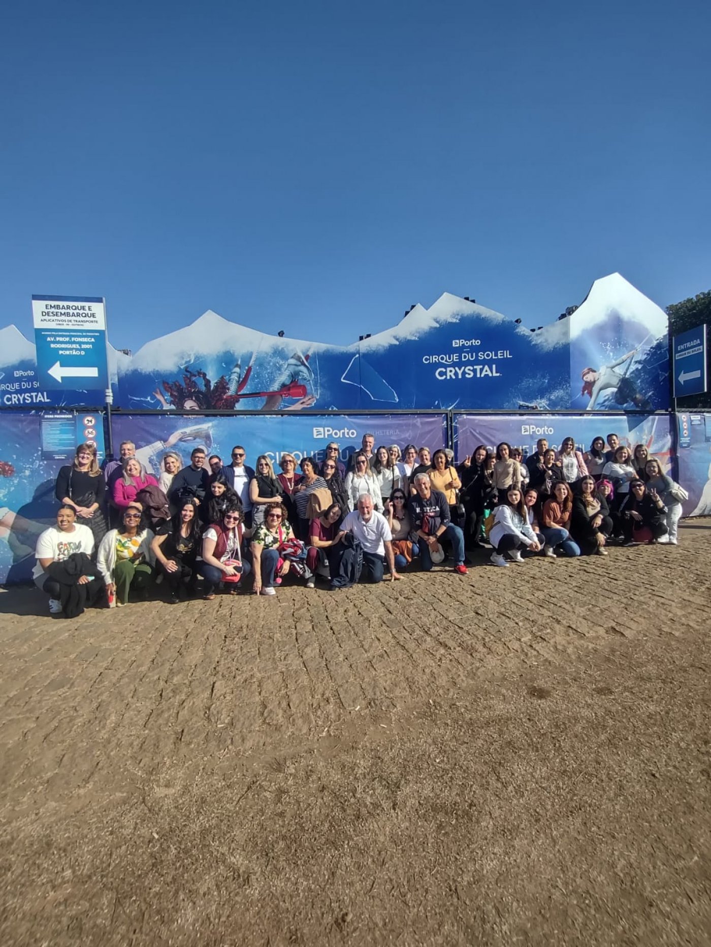 Cirque du soleil crystal