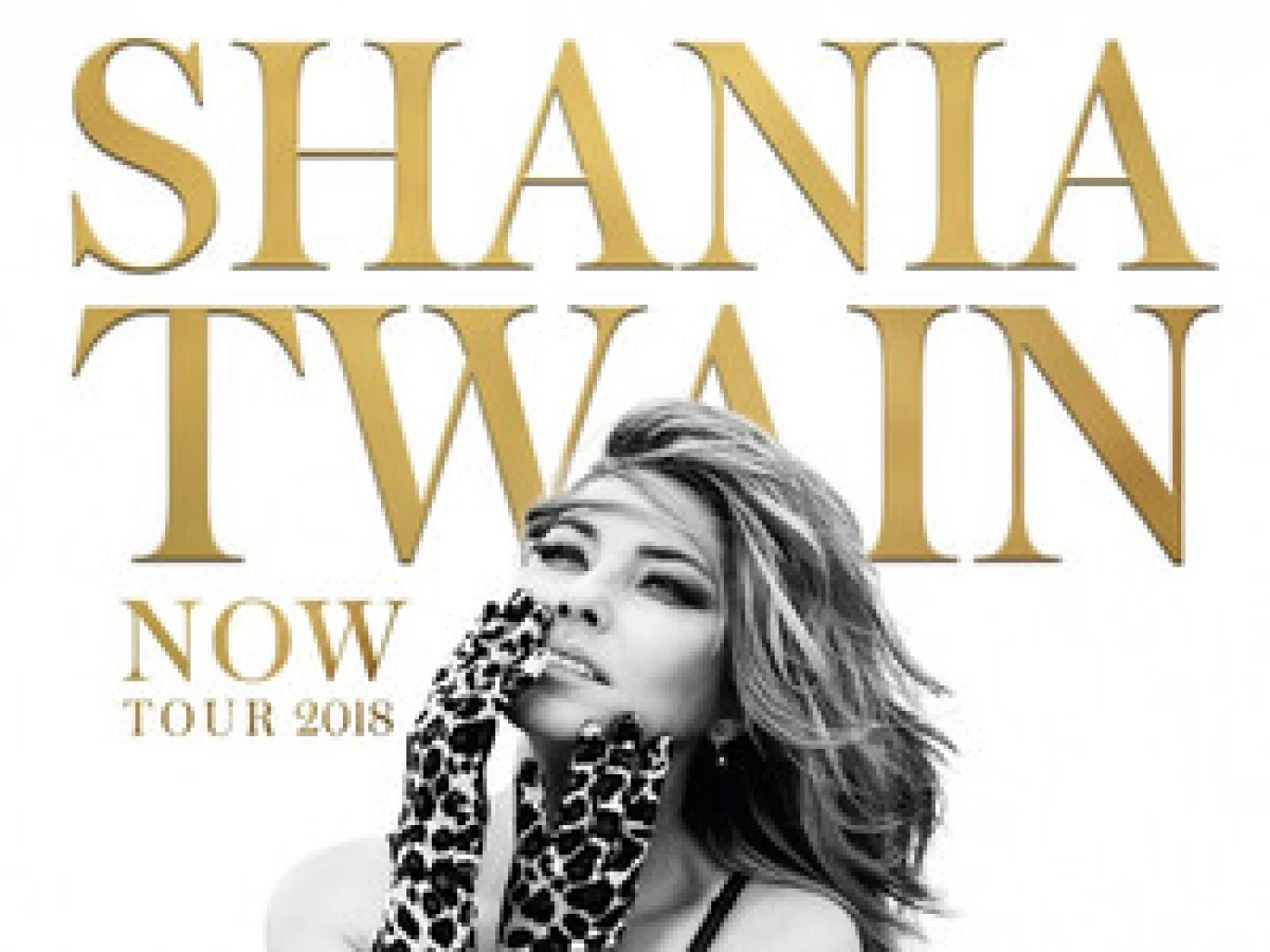 Shania Twain | Cantora country 