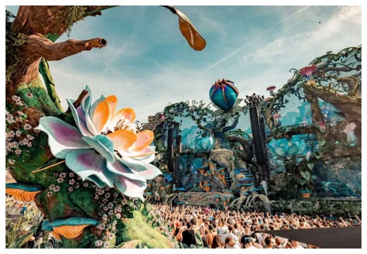 Tomorrowland Brasil 2025: Line-up Revelado e Ingressos à Venda!