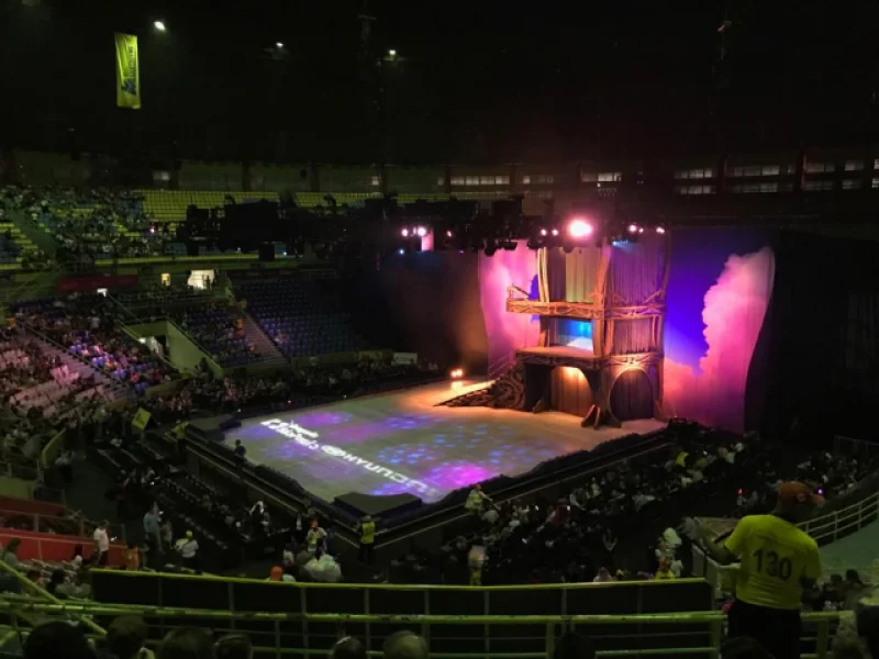 Disney On Ice - Ginsio Ibirapuera - SP