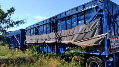 imagem do produto Rodotrem Canavieiro Rodoking/Galego