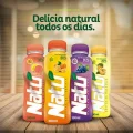 SUCO NATU 300ML